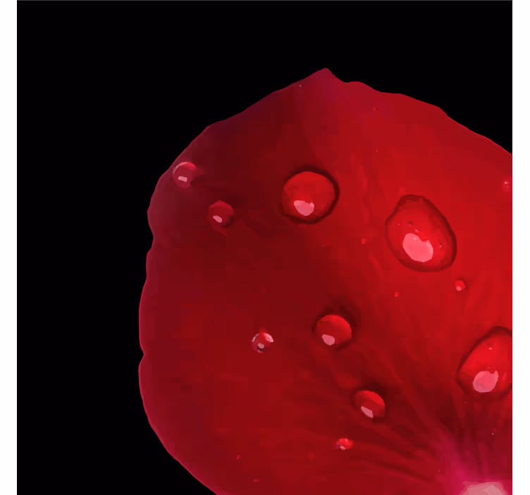 Posavasos pétalo de rosa humedecido - TenVinilo