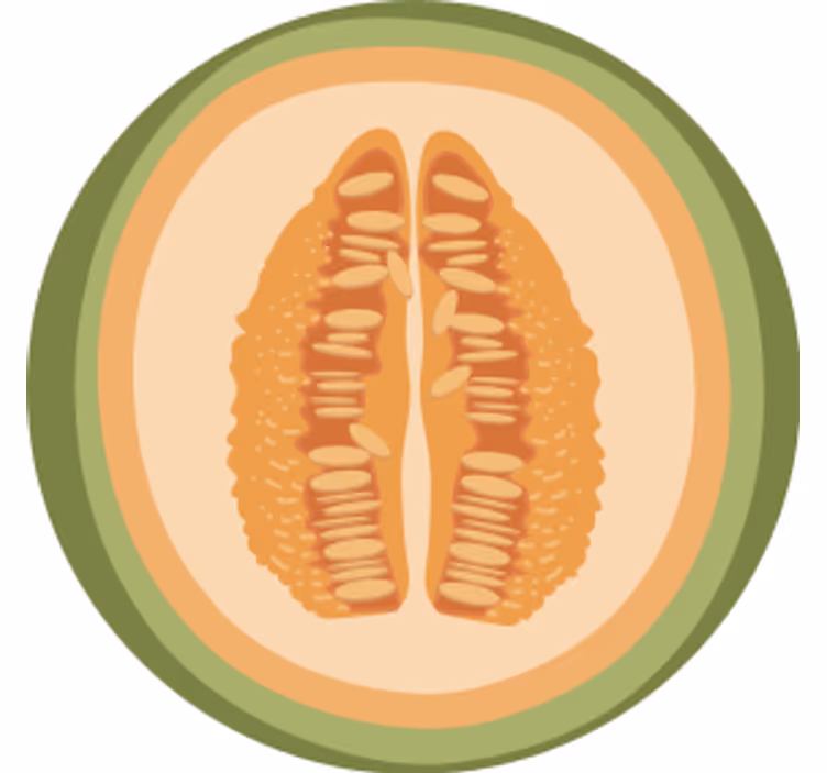 Posavasos frikis con motivos de rodajas de fruta - TenVinilo