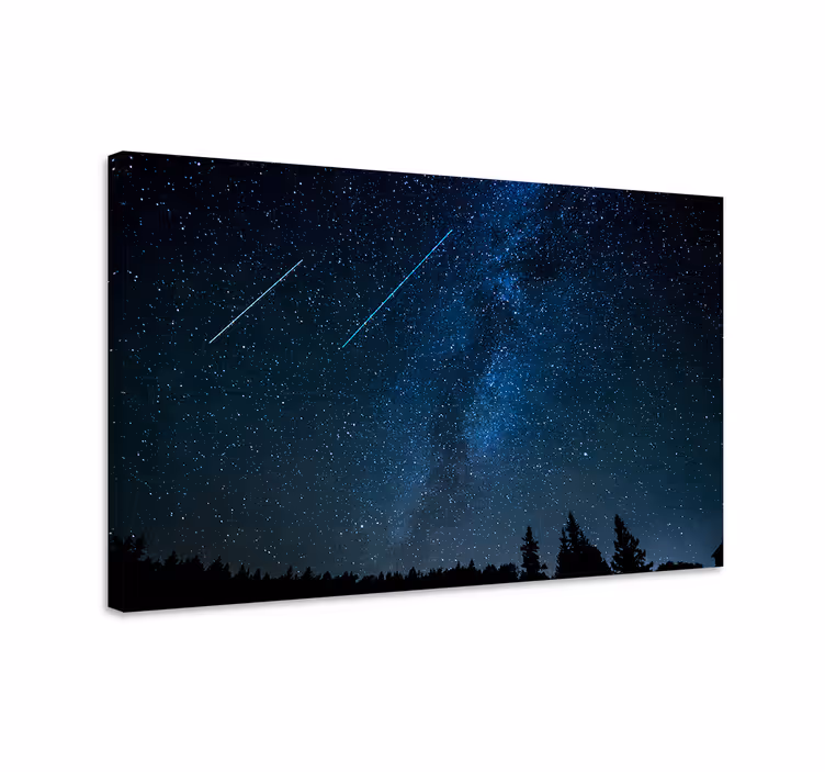Cuadro azul paisaje de estrellas fugaces - TenVinilo