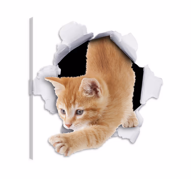 Cuadro de gatos vinilo decorativo trampantojo gato - TenVinilo
