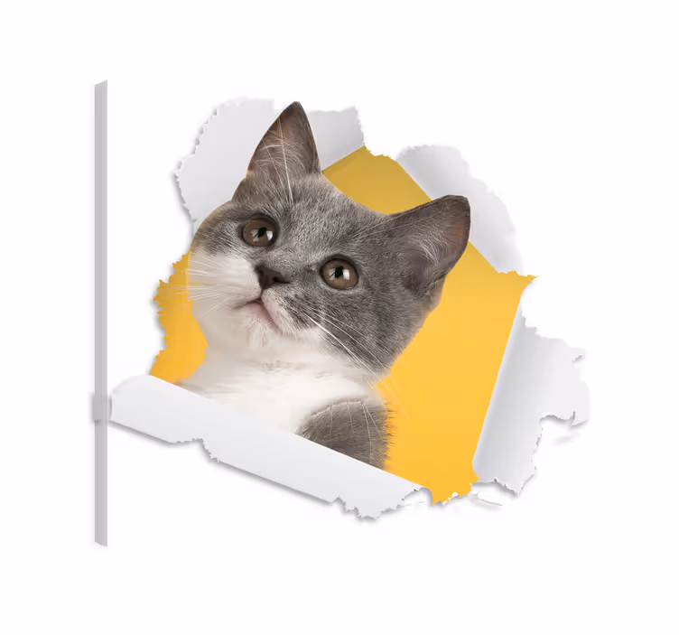 Cuadro de gatos adhesivo 3d - TenVinilo