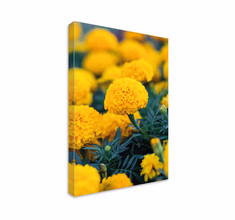 Cuadro 3d flores de naranjo - TenVinilo