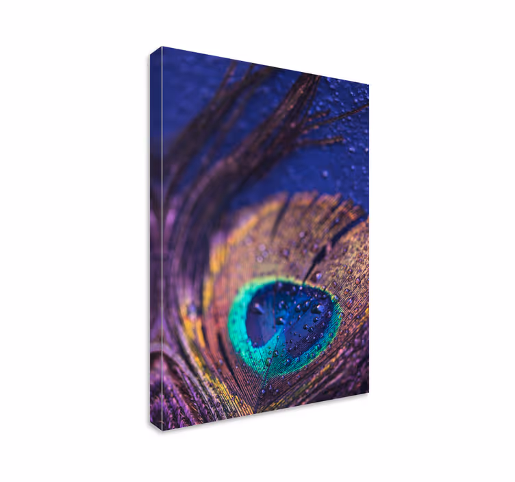 Cuadro plumas pavo real multicolor - TenVinilo