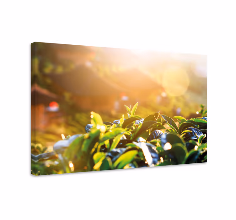 Cuadro de flores hojas de té de la mañana - TenVinilo