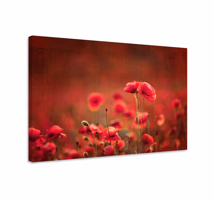 Cuadro habitación matrimonio Campos de amapolas - TenVinilo