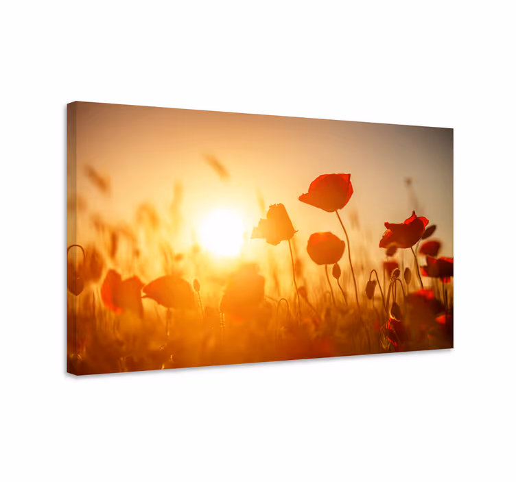 Cuadro de flores Flores rojas en la puesta del sol - TenVinilo