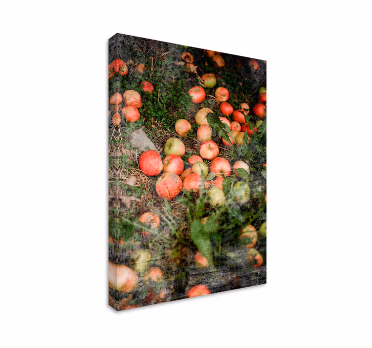 Cuadro bodegones manzanas cayendo - TenVinilo