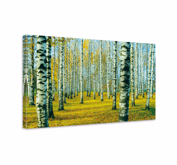 Cuadro para salón Bosque de abedules - TenVinilo
