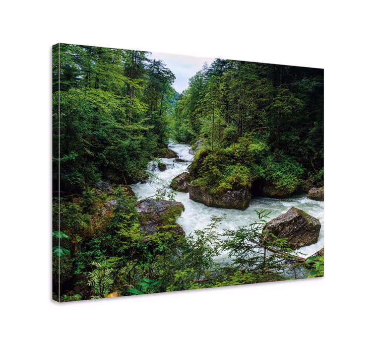 Cuadro paisajes paisaje sereno de río - TenVinilo