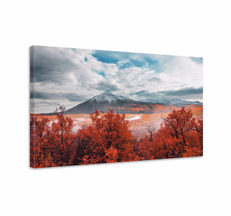 Cuadro paisajes Momento mágico en el bosque - TenVinilo