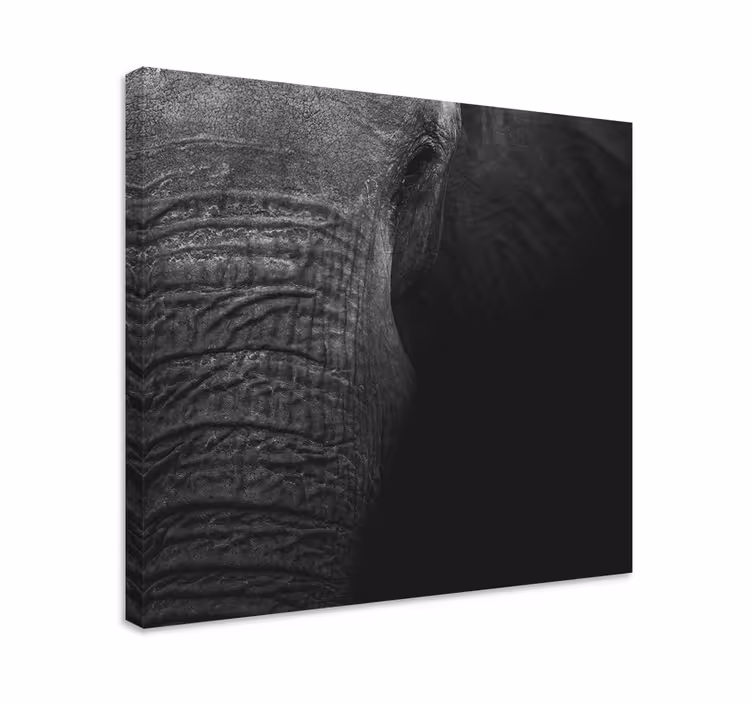 Cuadro de elefantes retrato de elefante majestuoso - TenVinilo