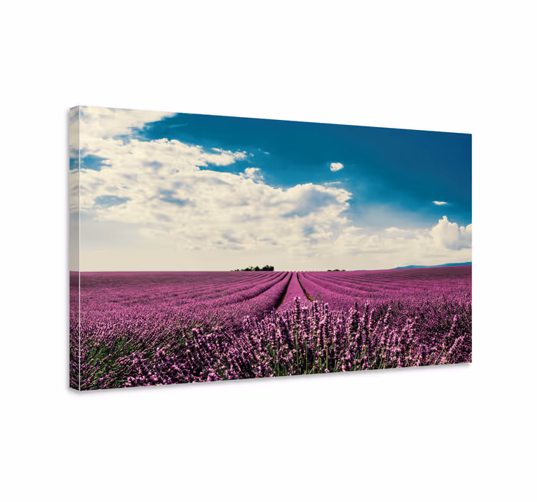 Cuadro de flores campo de lavanda - TenVinilo