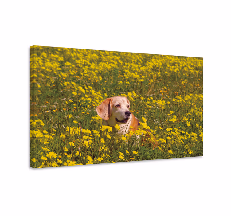 Cuadro de perro perro feliz al aire libre - TenVinilo