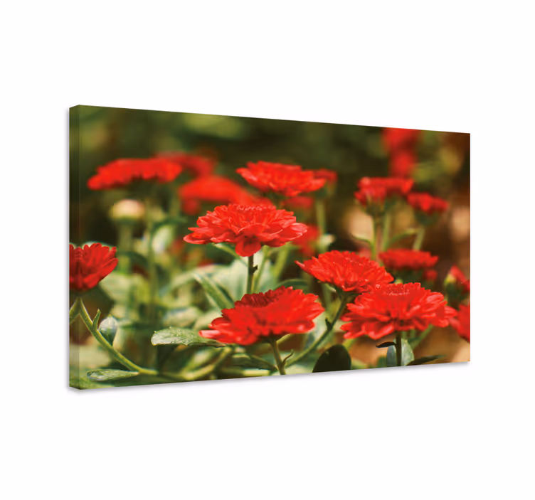 Cuadro de flores flores rojas en plena floración - TenVinilo