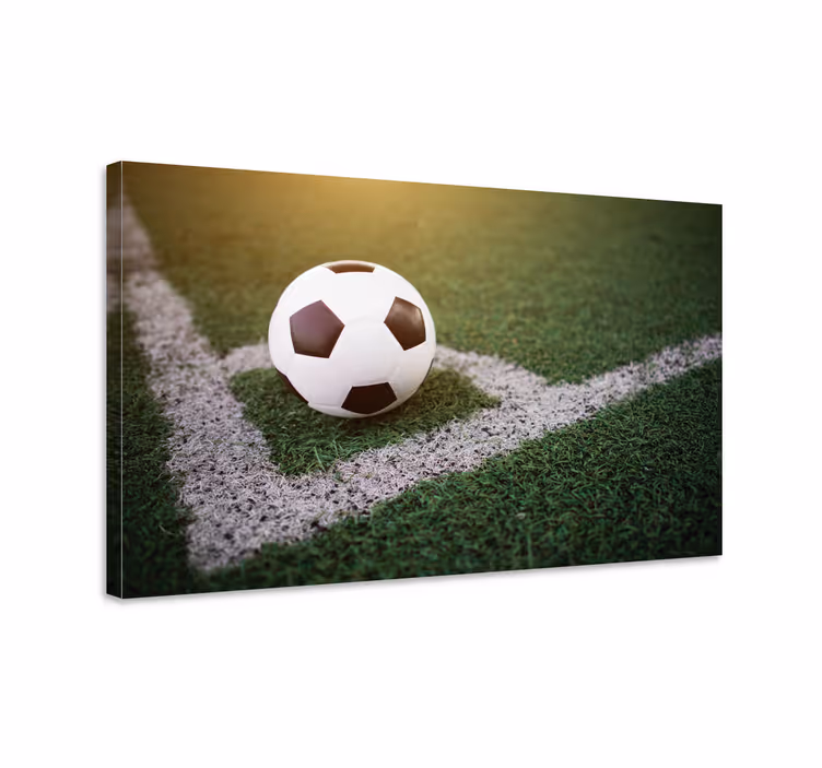 Cuadro juvenil Hermoso fútbol en la hierba - TenVinilo