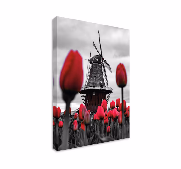 Cuadro paisajes molino y tulipanes - TenVinilo