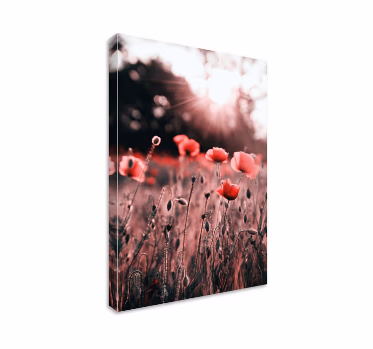 Cuadro de flores campo de amapolas radiante - TenVinilo