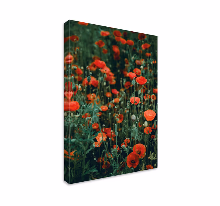 Cuadro de flores campo de flores rojas - TenVinilo