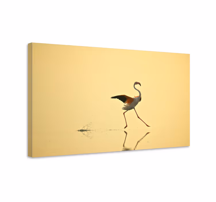 Cuadro aves baile elegante de flamencos - TenVinilo