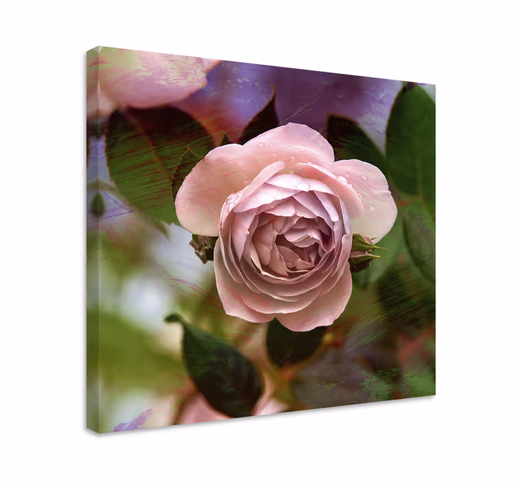 Cuadro de flores rosa rosa - TenVinilo