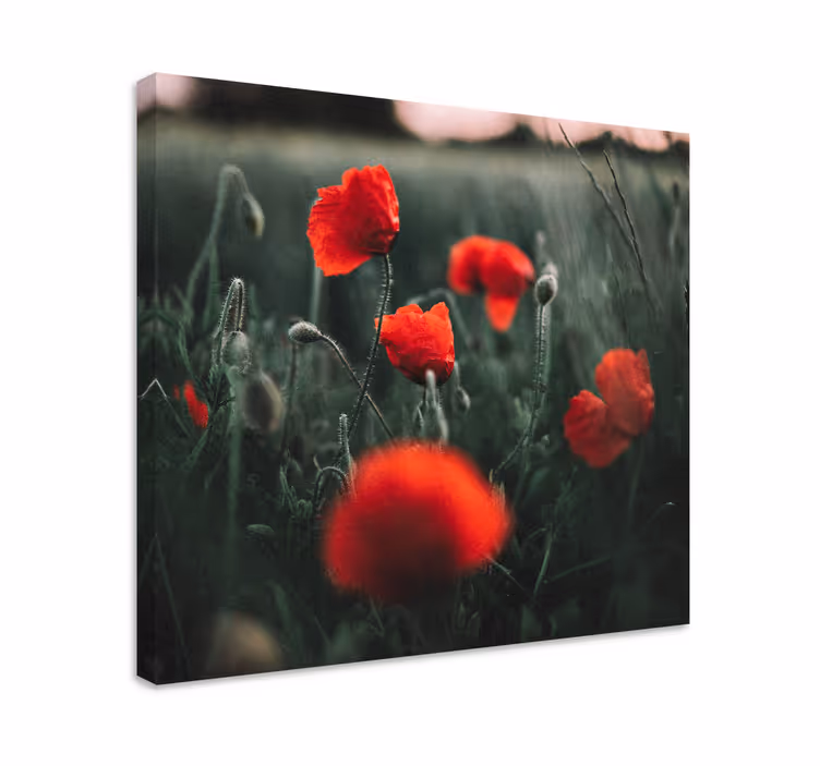 Cuadro de flores ramillete de amapolas vivas - TenVinilo