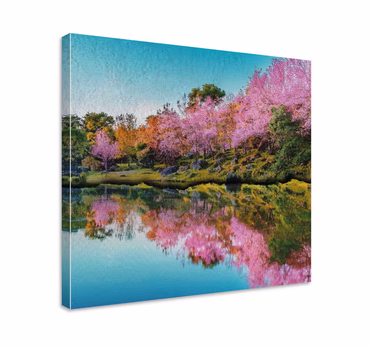 Cuadro paisajes reflejo de flor de cerezo - TenVinilo