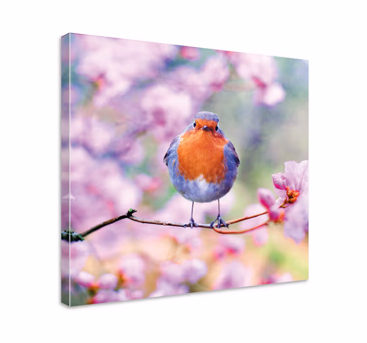 Cuadro aves ruiseñor encantador posado - TenVinilo