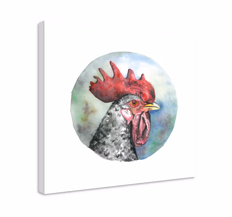 Cuadro aves retrato de gallo - TenVinilo