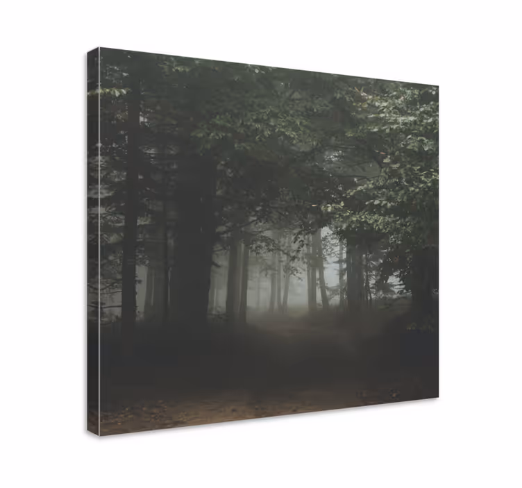 Cuadro paisajes sendero boscoso velado - TenVinilo