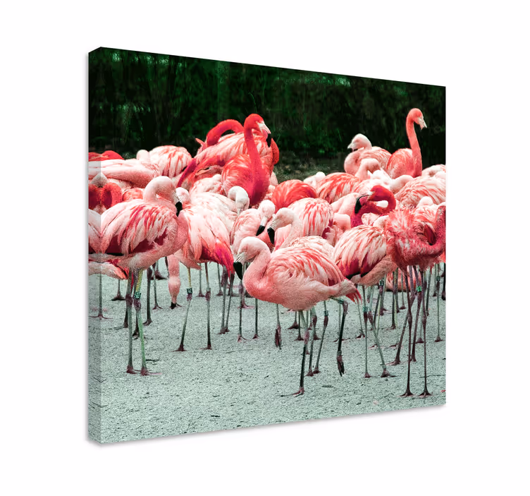 Cuadro aves bandada de flamencos - TenVinilo