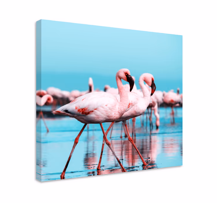 Cuadro aves flamencos rosas majestuosos - TenVinilo
