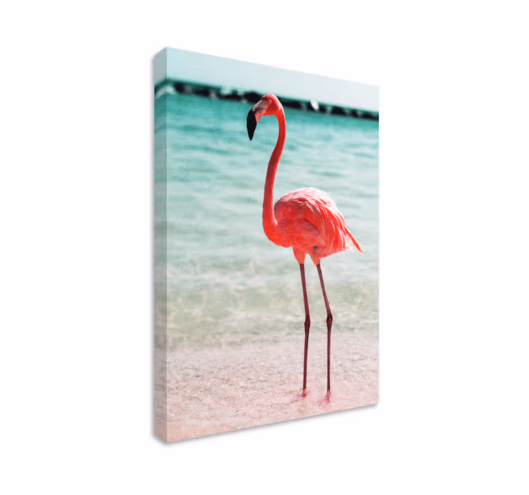 Cuadro aves postura elegante de flamenco - TenVinilo