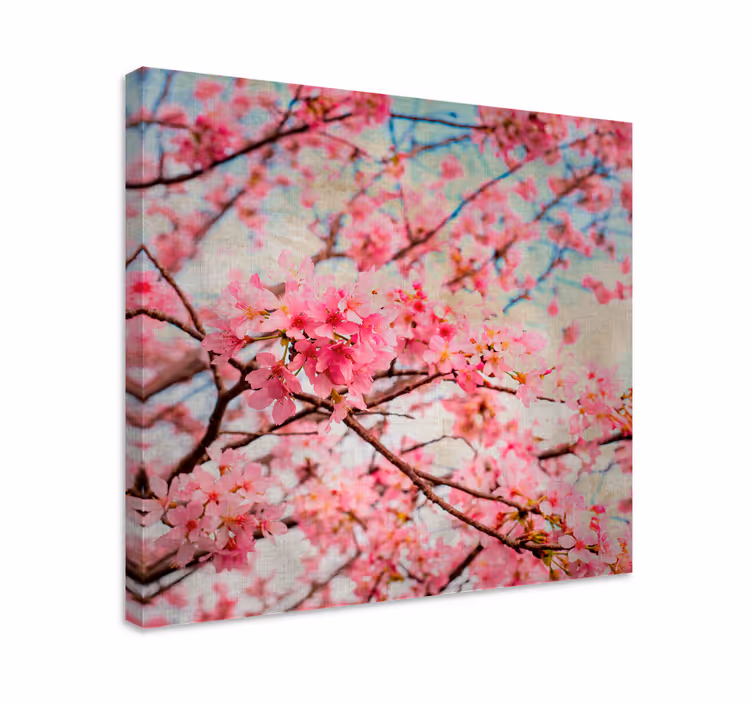 Cuadro de flores Flores de cerezo borrosas - TenVinilo
