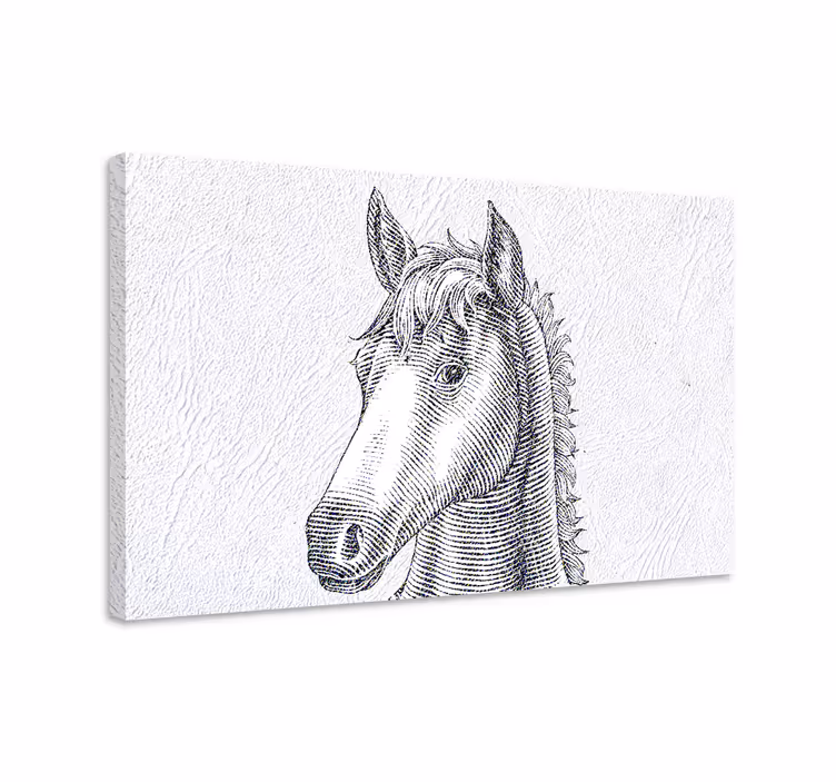 Cuadro caballos Dibujado a mano - TenVinilo