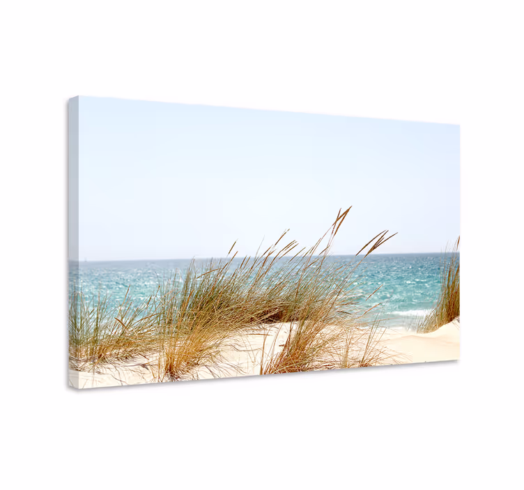 Cuadro plantas Hierba de caña de playa - TenVinilo