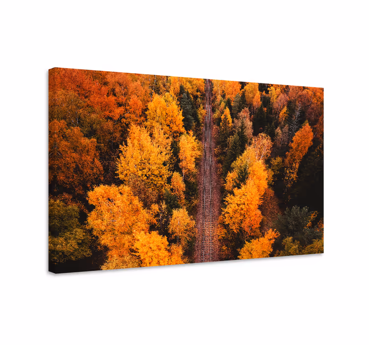 Cuadro árboles Foto aérea árboles forestales - TenVinilo
