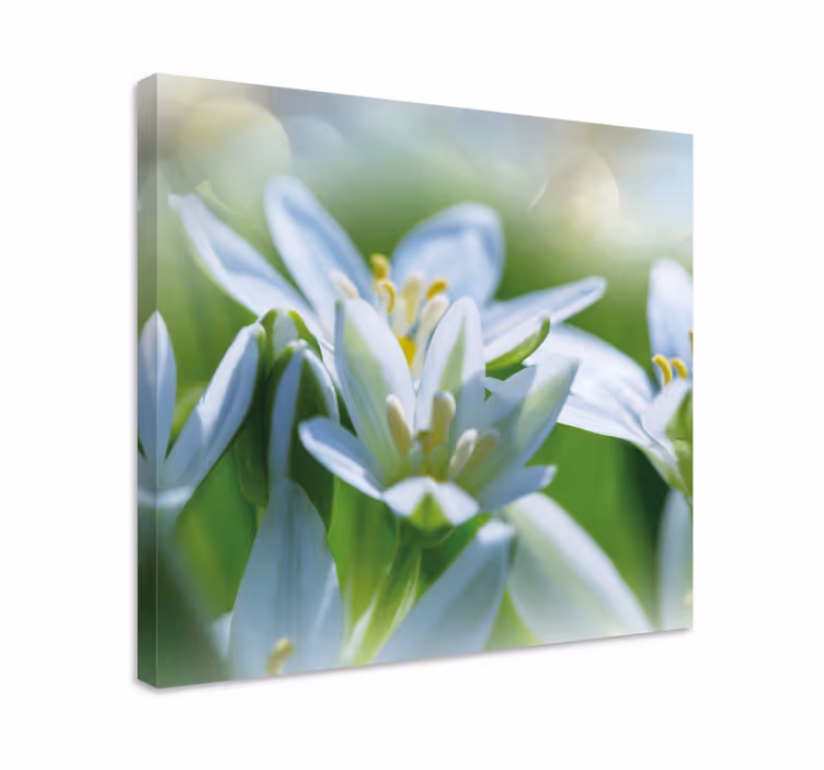 Cuadro de flores Prado de magníficas campanillas de invierno - TenVinilo