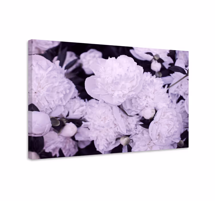 Cuadro de flores piviones morados en flor - TenVinilo