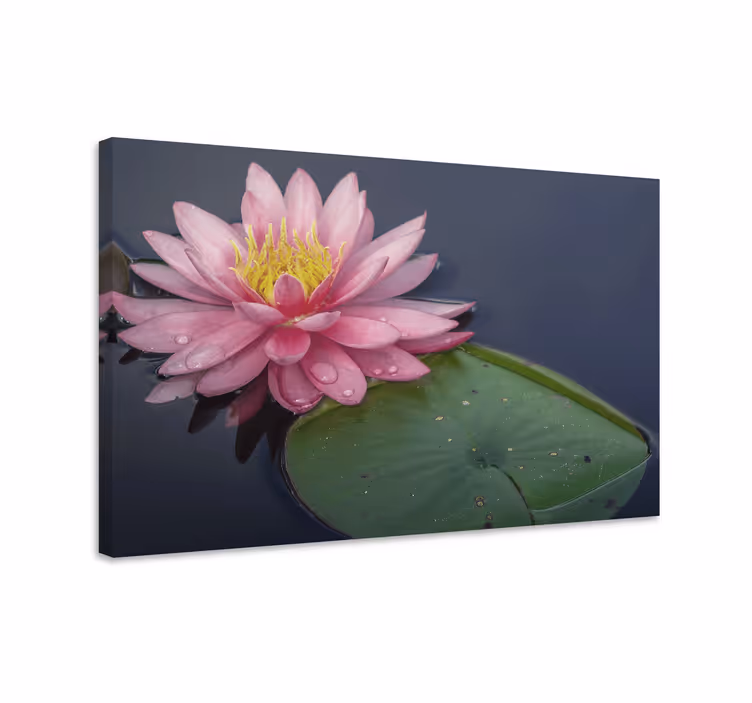 Cuadro de flores lirio de agua - TenVinilo