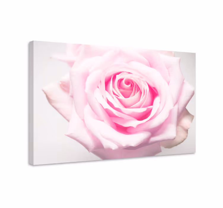 Cuadro de flores rosa blush en floración - TenVinilo