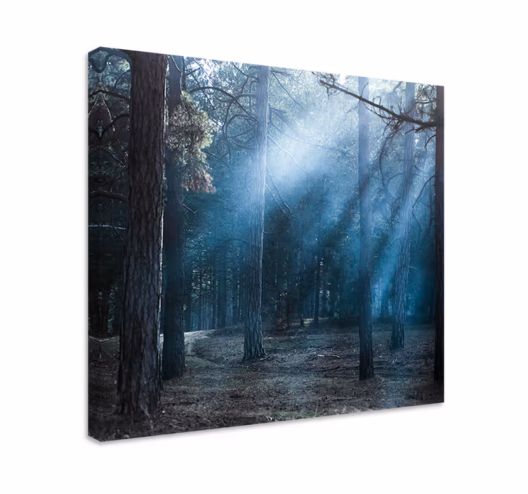 Cuadro paisajes sendero boscoso brumoso - TenVinilo