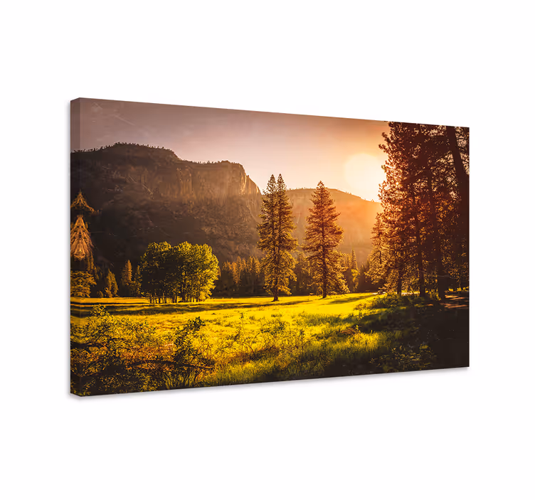 Cuadro paisajes Puesta de sol detrás de los árboles - TenVinilo