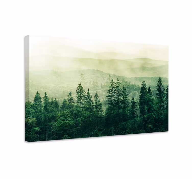 Cuadro paisajes Bosque verde colina copas de los árboles - TenVinilo