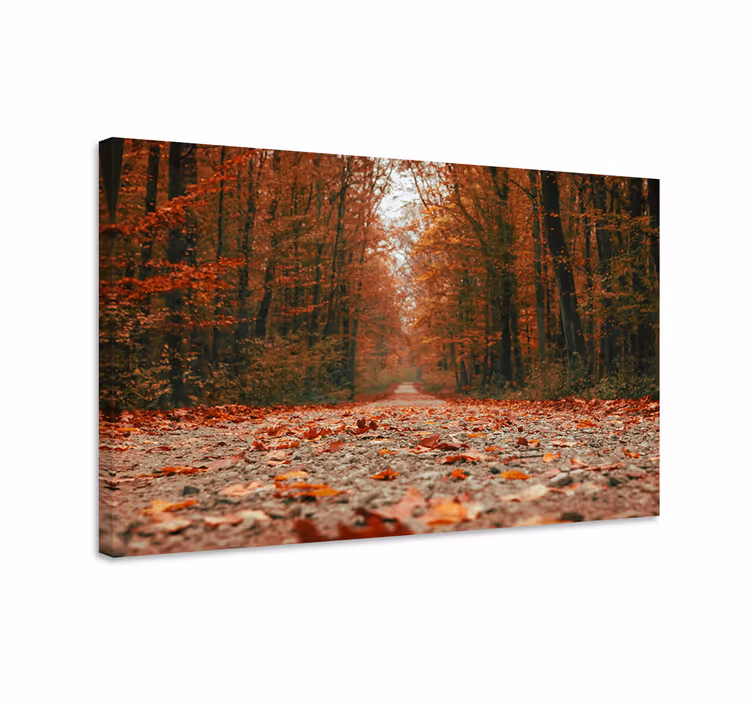 Cuadro paisajes Hermosas hojas de otoño coloridas - TenVinilo