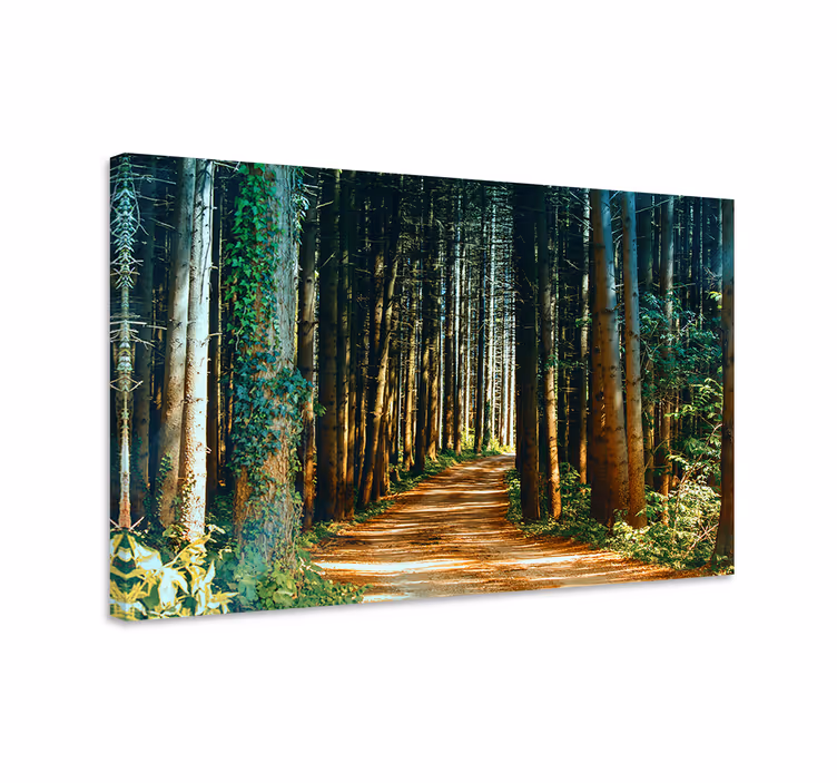 Cuadro paisajes Hermosa naturaleza camino puerta del árbol - TenVinilo