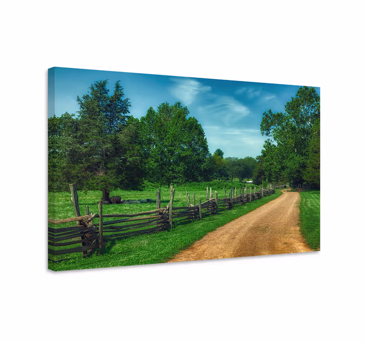 Cuadro paisajes sendero campestre sereno - TenVinilo