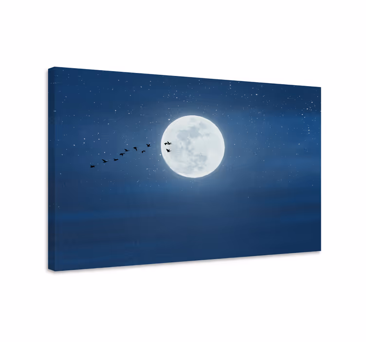 Cuadro 3d Luna llena y cielo - TenVinilo