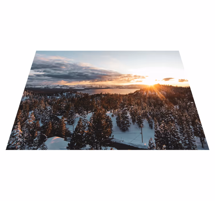 Alfombra vinílica naturaleza paisaje de bosque frondoso - TenVinilo