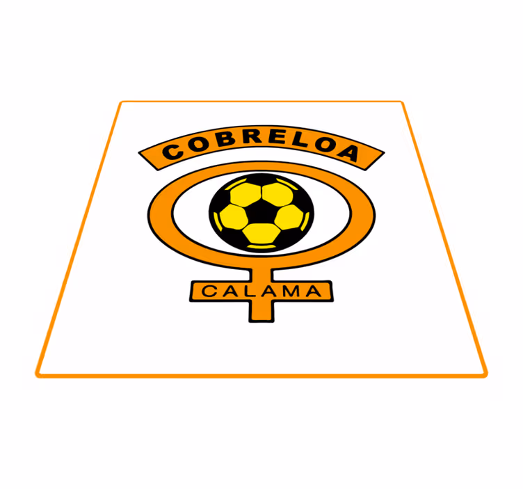 Alfombra vinílica juvenil equipo Cobreloa - TenVinilo