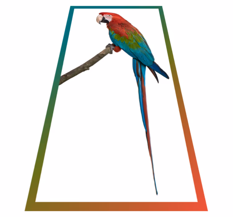 Alfombra vinílica animales guacamayo colorido - TenVinilo